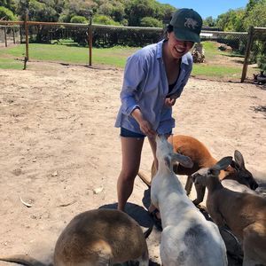 Meet your Posher, An